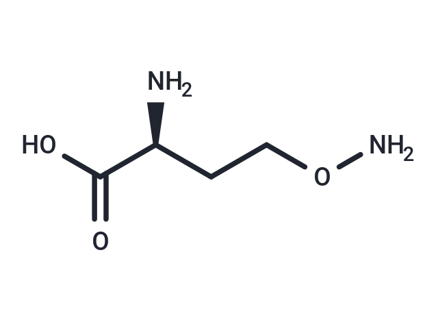 化合物 L-Canaline|T11802|TargetMol