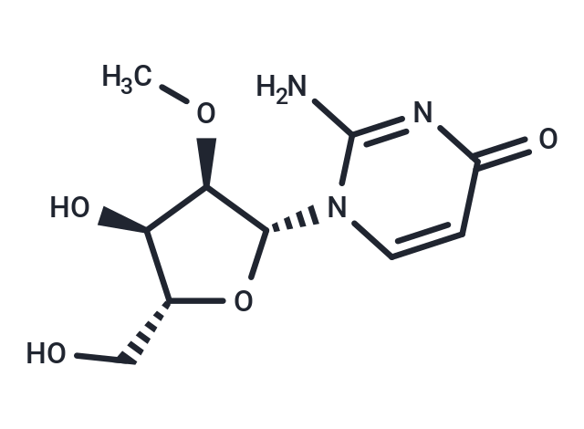 化合物 2’-O-Methyl isocytidine|TNU0050|TargetMol