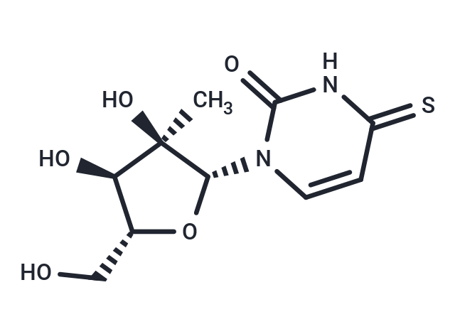 化合物 2’-beta-C-Methyl-4-thiouridine|TNU0240|TargetMol