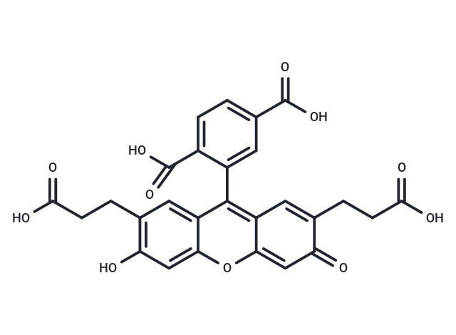 化合物 BCECF|T18922|TargetMol