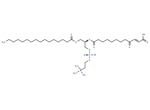 KDdiA-PC|T36171|TargetMol