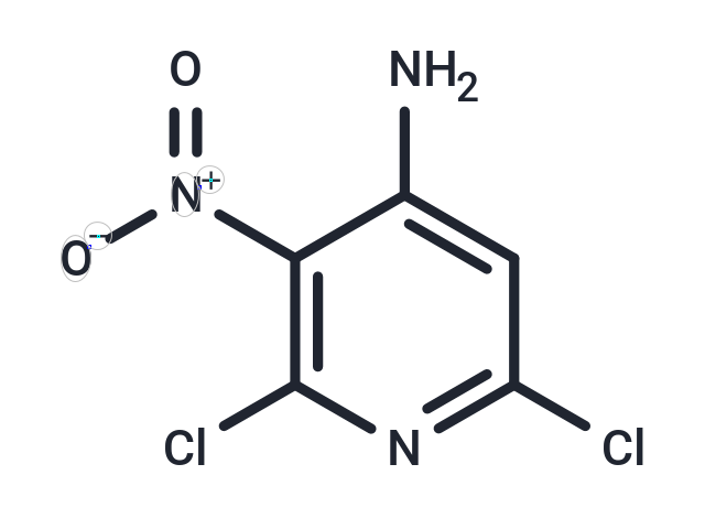 化合物 2,6-Dichloro-3-nitro-4-pyridinamine|TNU0894|TargetMol