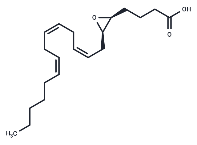 (±)5(6)-EET|T36070|TargetMol