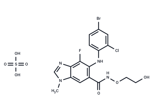 化合物 Selumetinib sulfate|T63929|TargetMol