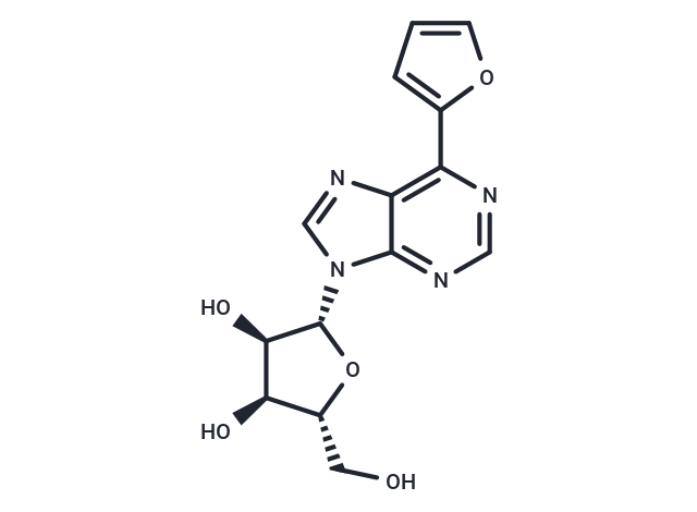 化合物 6-(Furan-2-yl)purine-beta-D-riboside|TNU0016|TargetMol