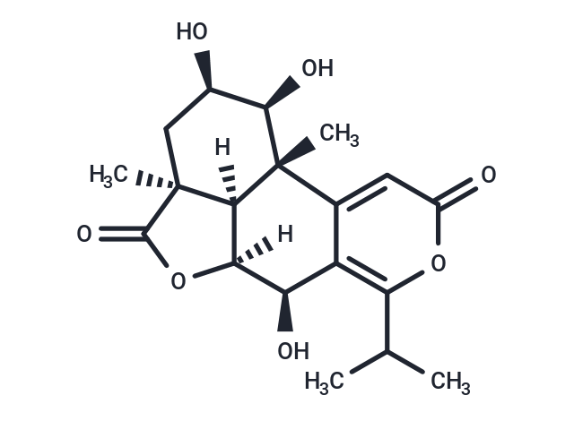 竹柏内酯 B|T16264|TargetMol