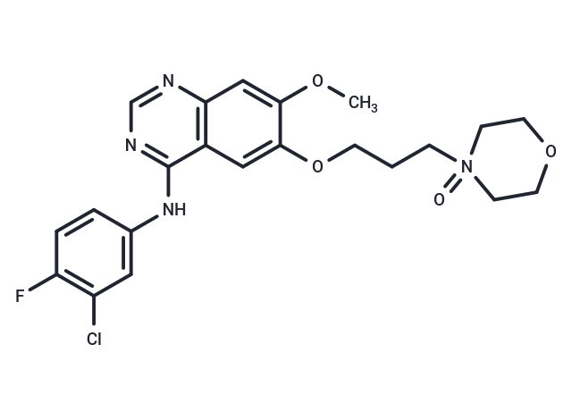 化合物 Gefitinib N-oxide|T11385|TargetMol