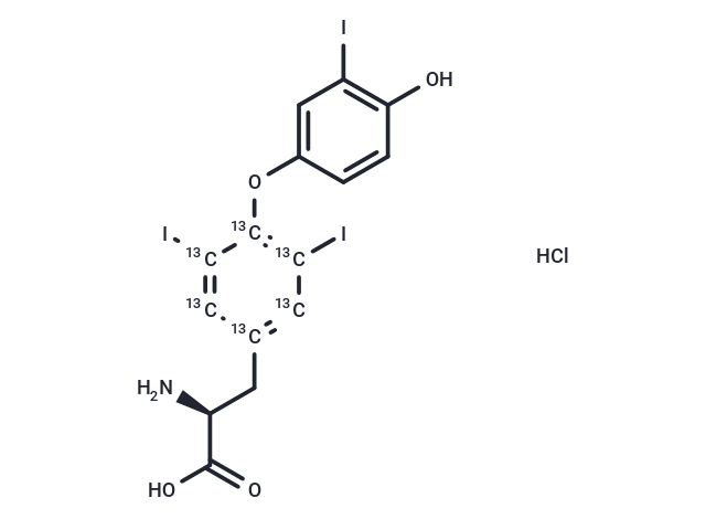 3,3′,5-三碘甲腺原氨酸-(酪氨酸苯基-13C6) 盐酸盐 （T3)|TMID-0105|TargetMol