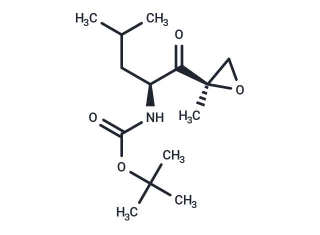 化合物 tert-Butyl ((S)-4-methyl-1-((R)-2-methyloxiran-2-yl)-1-oxopentan-2-yl)carbamate|T66629|TargetMol