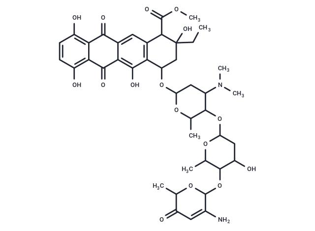 化合物 Rudolfomycin|T68859|TargetMol