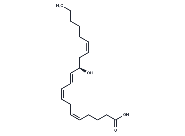 12(R)-HETE|T36145|TargetMol