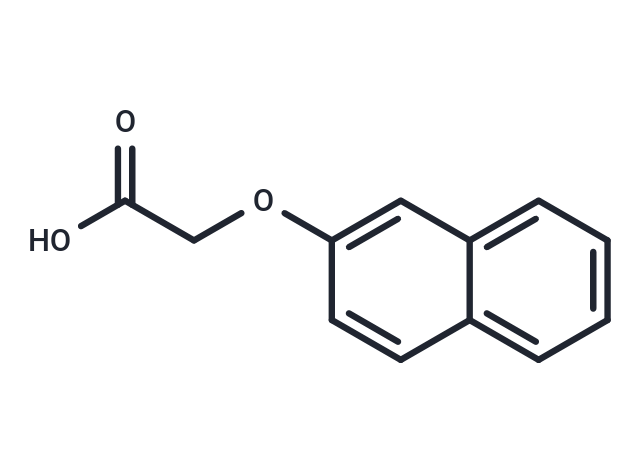 2-Naphthoxyacetic acid|T38059|TargetMol