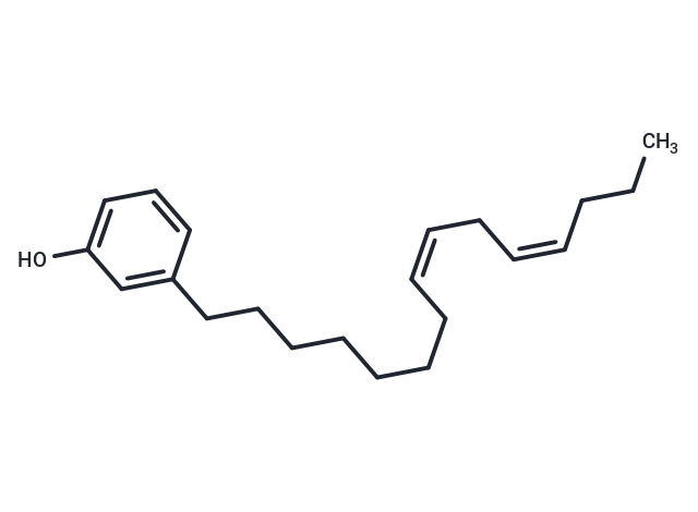 化合物 Cardanol diene|T71813|TargetMol