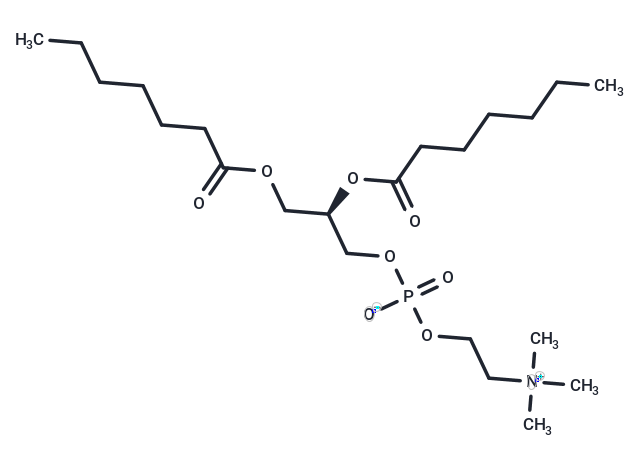 化合物 Diheptanoyllecithin|T31460|TargetMol