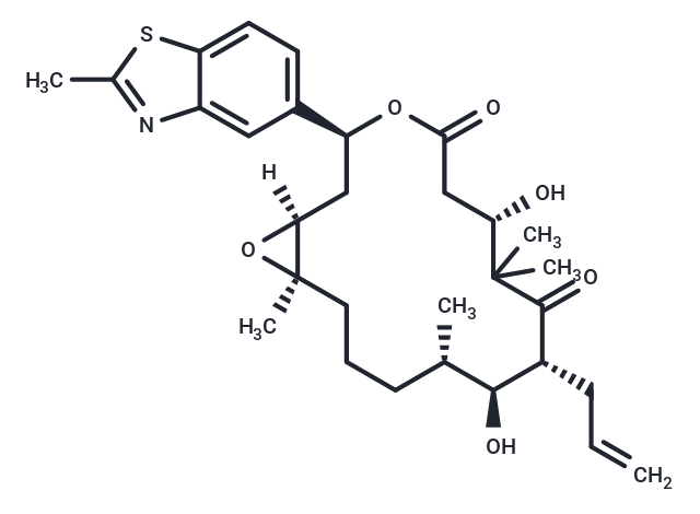 化合物 Sagopilone|T69480|TargetMol