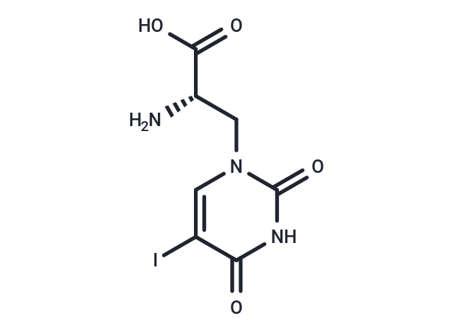 化合物 (S)-(-)-5-Iodowillardiine|T23295|TargetMol