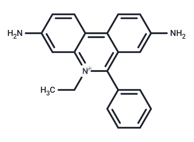 化合物 Homidium Free Base|T69378|TargetMol