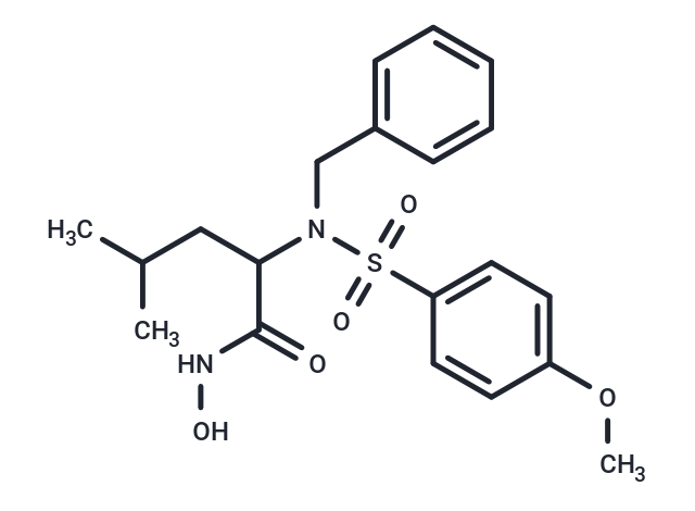 化合物 MMP-3 Inhibitor VIII|T84419|TargetMol