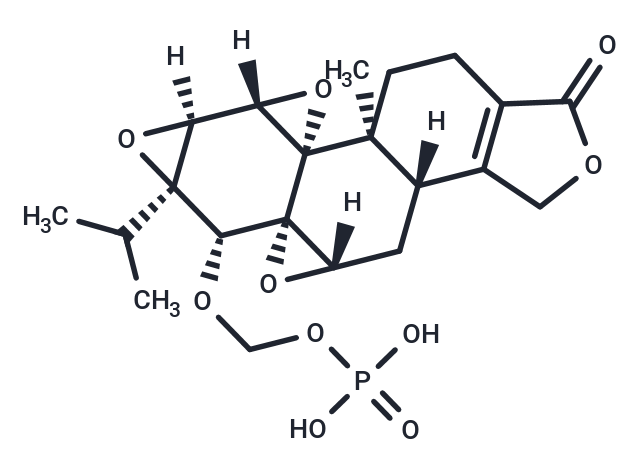 化合物 Minnelide free acid|T71113|TargetMol