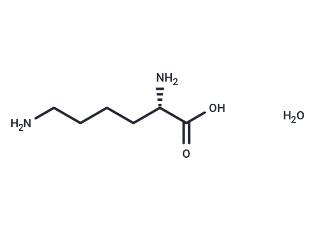 化合物 Lysine monohydrate|T2A2498L3|TargetMol