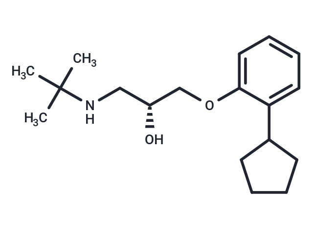 化合物 (+)-Penbutolol|T13465|TargetMol