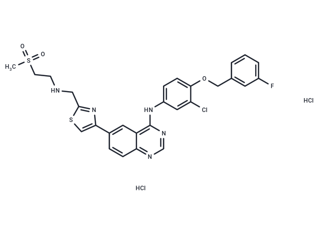 化合物 GW 583340 dihydrochloride|T22827|TargetMol