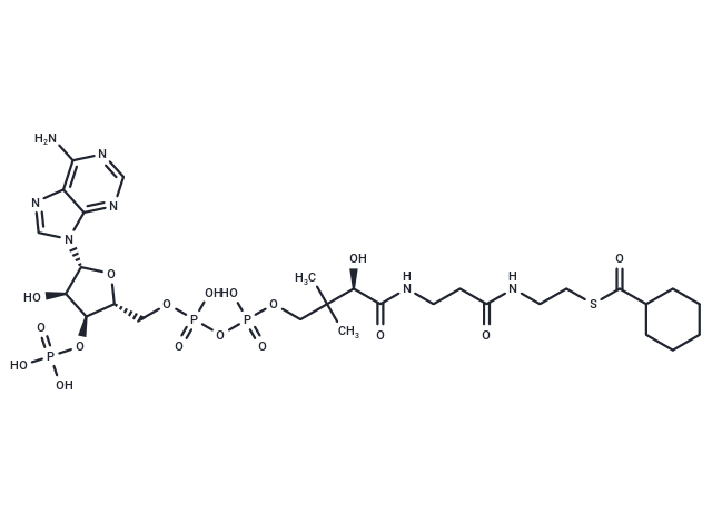 Cyclohexanoyl Coenzyme A|T38025|TargetMol