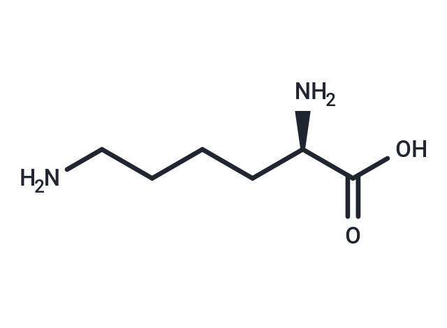 化合物 D-Lysine|T66651|TargetMol