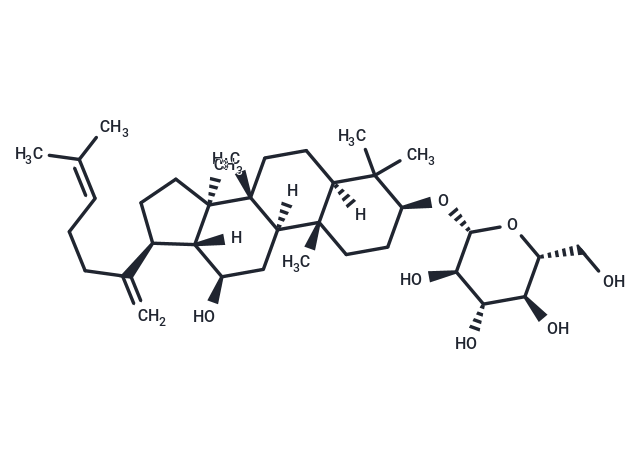 人参皂苷RK2|TN1095|TargetMol