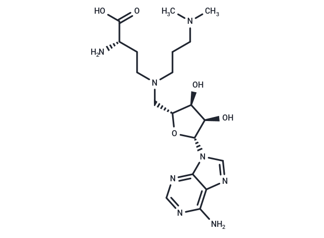 化合物 GSK-2807 free base|T69738|TargetMol