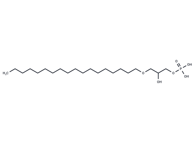 1-Octadecyl Lysophosphatidic Acid|T36768|TargetMol