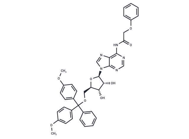 化合物 5’-O-(4,4’-Dimethoxytrityl)-N6-Phenoxyacetyl adenosine|TNU0707|TargetMol