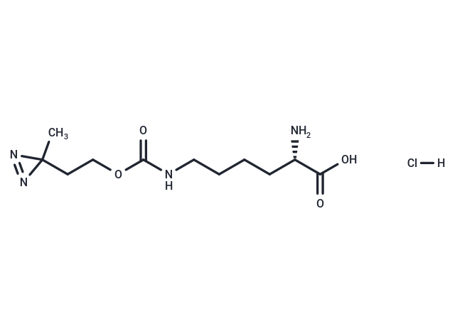 化合物 H-L-Photo-lysine hydrochloride|T18998|TargetMol