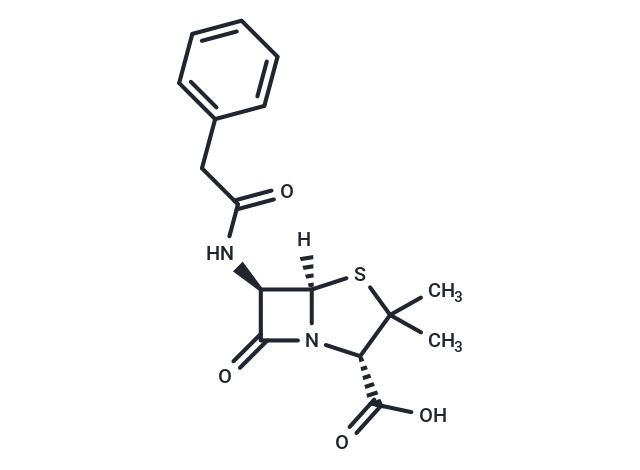 化合物 Benzylpenicillin|T5602L|TargetMol