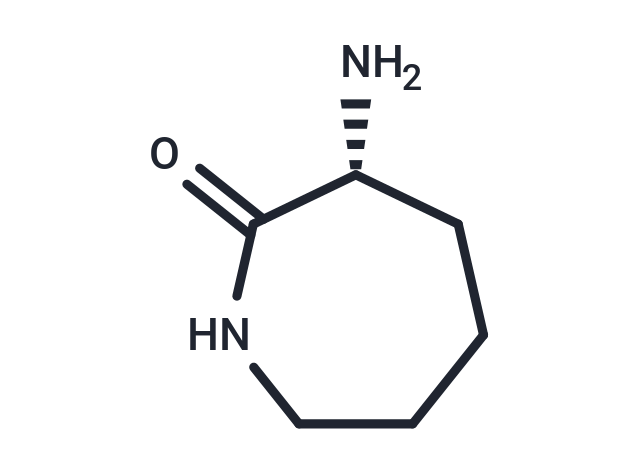 D-Lysine lactam|T36053|TargetMol