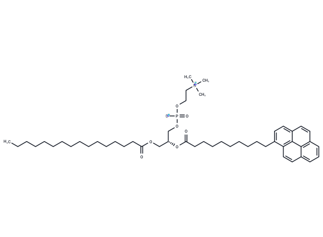 10-Pyrene-PC|T36143|TargetMol