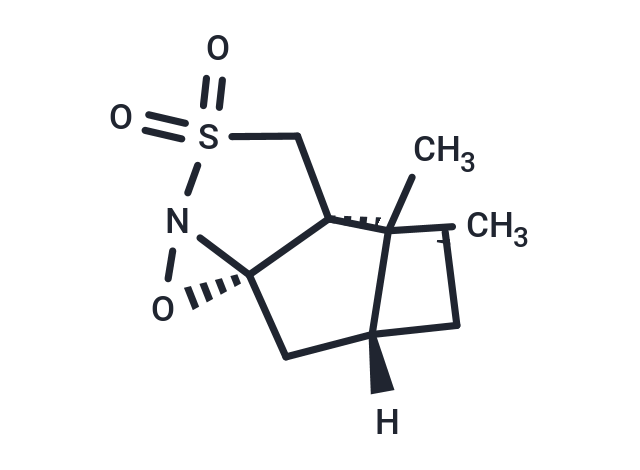 化合物 (1S)-(+)-(10-Camphorsulfonyl)oxaziridine|T65662|TargetMol