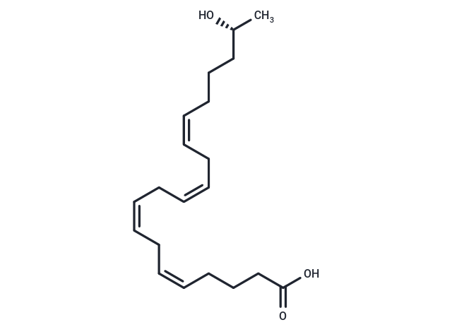 化合物 19(R)-HETE|T36216|TargetMol