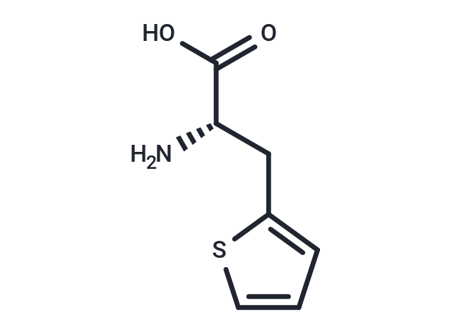 化合物 (S)-2-Amino-3-(thiophen-2-yl)propanoic acid|T67042|TargetMol