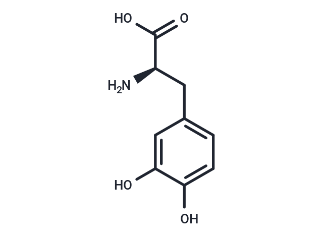 D-DOPA|T37605|TargetMol