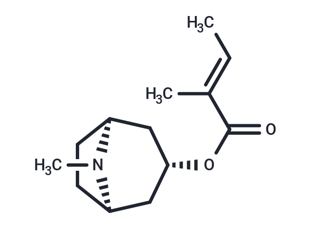 化合物 Tigloidin|T13158|TargetMol