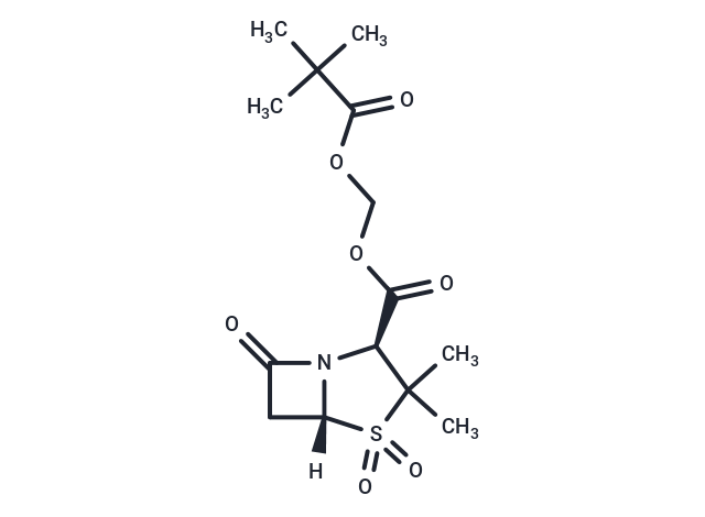 化合物 Sulbactam pivoxil|T1631L|TargetMol