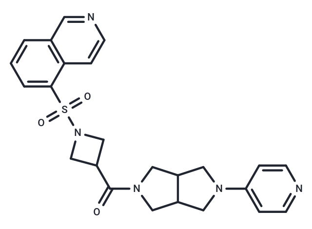 化合物 VU0455691|T26328|TargetMol