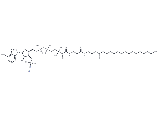 Palmitoyl CoA 锂盐|T74038|TargetMol