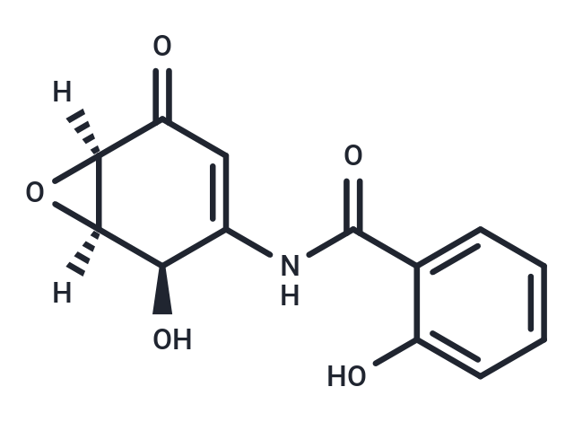 化合物 (+)-DHMEQ|T13462|TargetMol