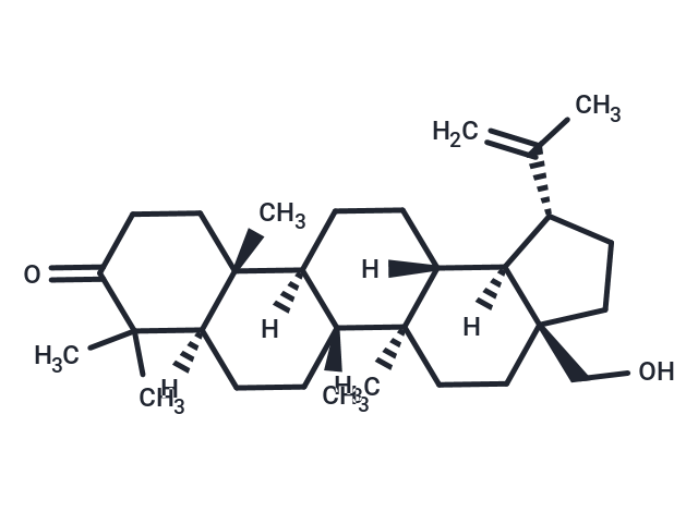 化合物Betulone|TN2446|TargetMol