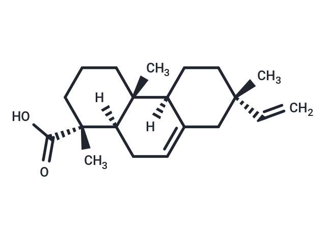 化合物 Isopimaric acid|TN4319|TargetMol