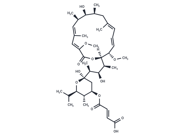 巴菲霉素C1|T22598|TargetMol