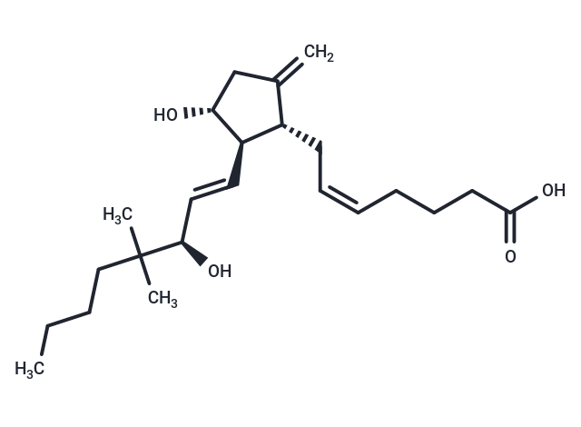 9-deoxy-9-methylene-16,16-dimethyl Prostaglandin E2|T36829|TargetMol