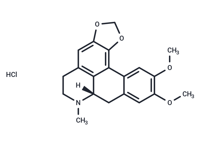 化合物 Dicentrine HCl|T69075|TargetMol